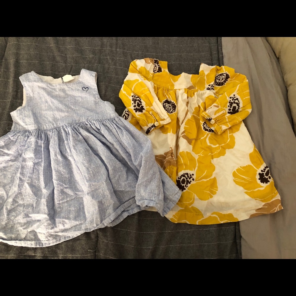 Bundle of 2 toddler girl dresses